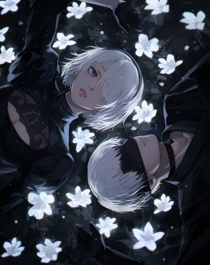 2b (Nier:Automata) Rule 34 Image