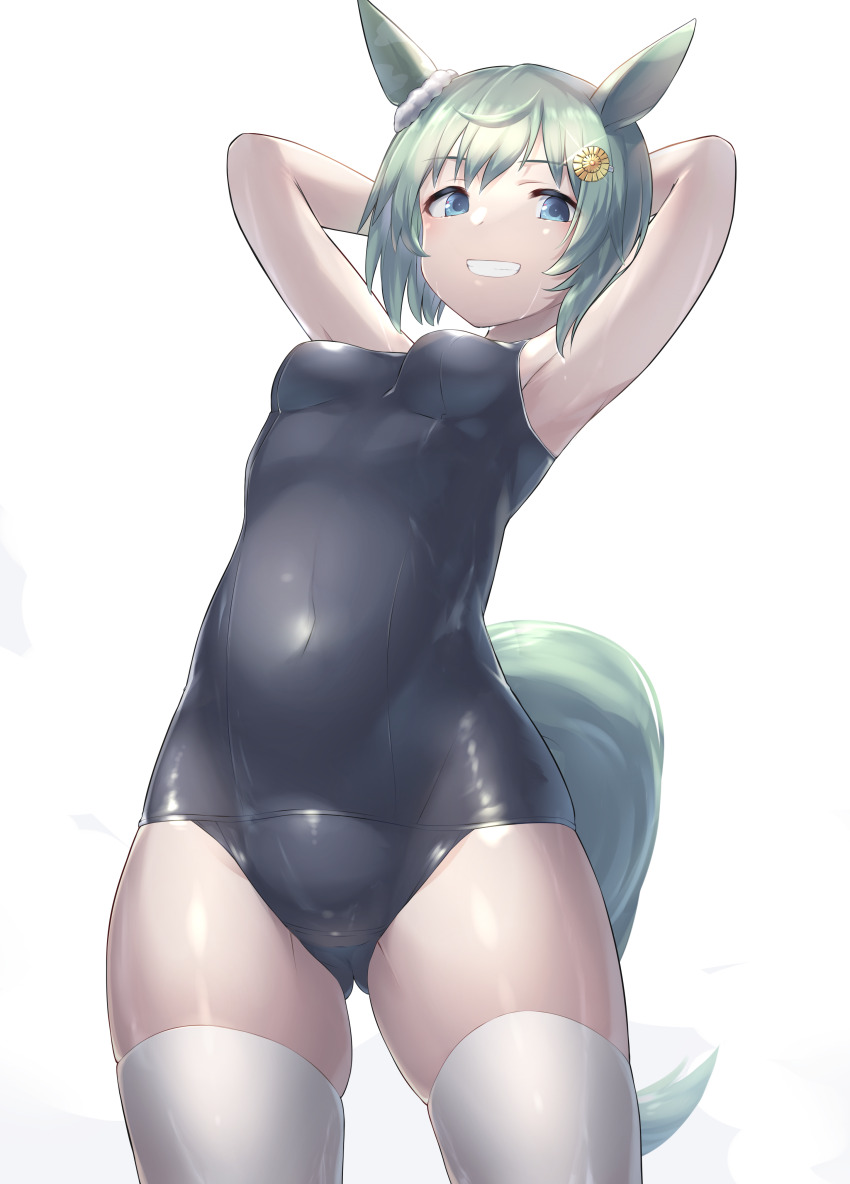 Seiun Sky (Umamusume) Rule 34 Image