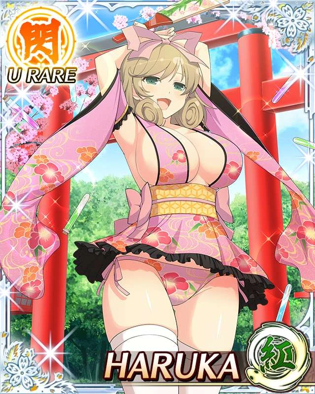 Haruka (Senran Kagura) Rule 34 Image