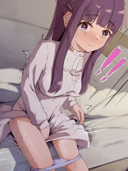 Fern (Sousou No Frieren) Rule 34 Image