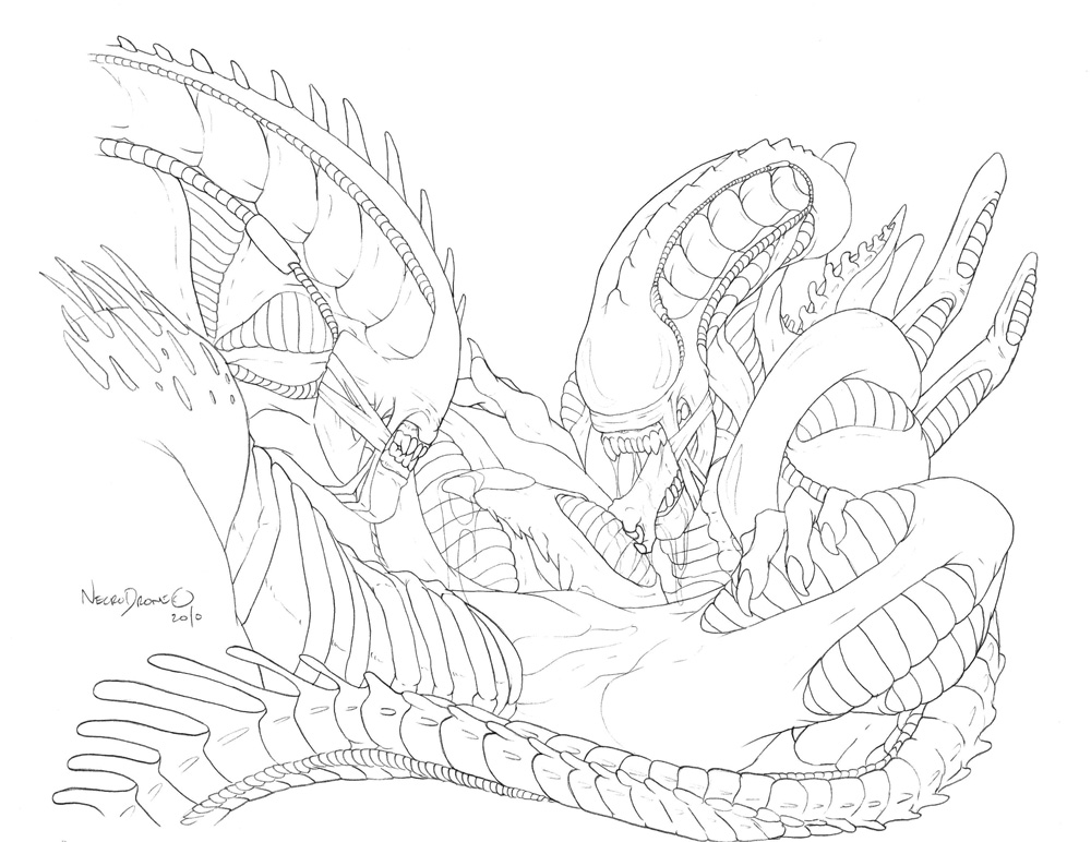 Male Xenomorph (Alien (Franchise)) Rule 34 Image