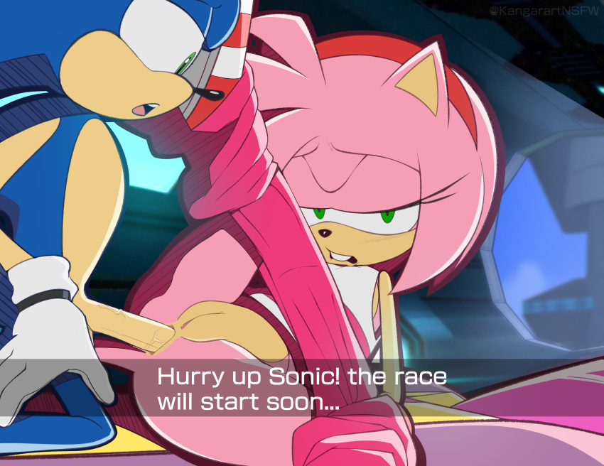 Sonic (Series) Rule 34 Image