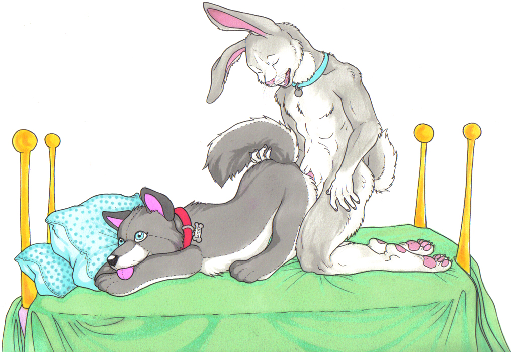 Anthro Rule 34 Image