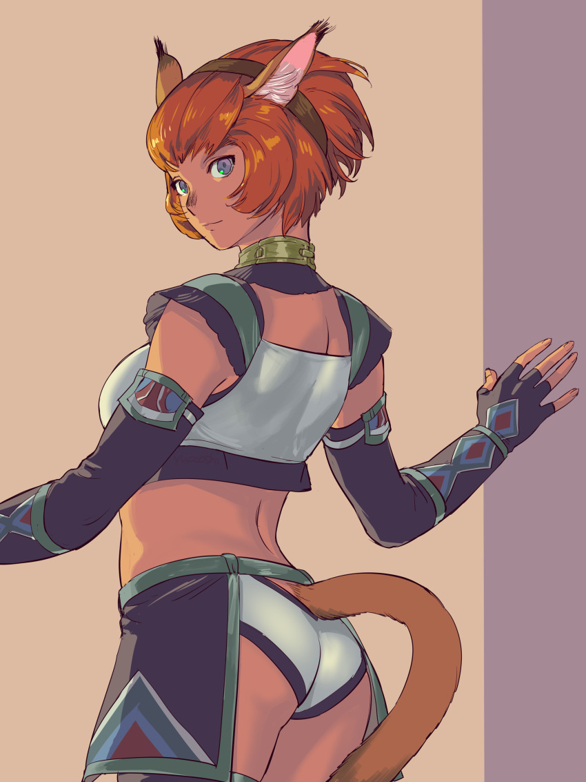 Adventurer (Ff11) Rule 34 Image