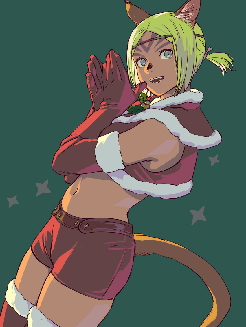 Adventurer (Ff11) Rule 34 Image
