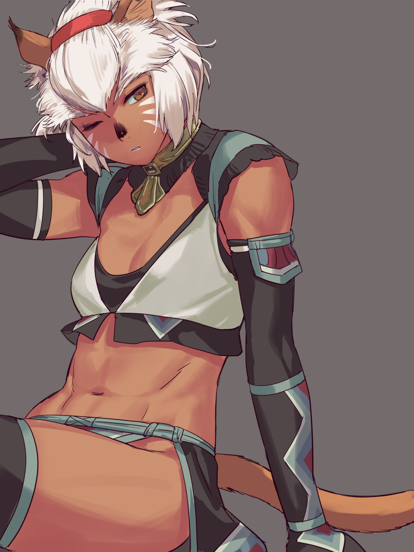 Adventurer (Ff11) Rule 34 Image