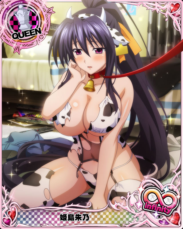 Himejima Akeno (High School Dxd) Rule 34 Image