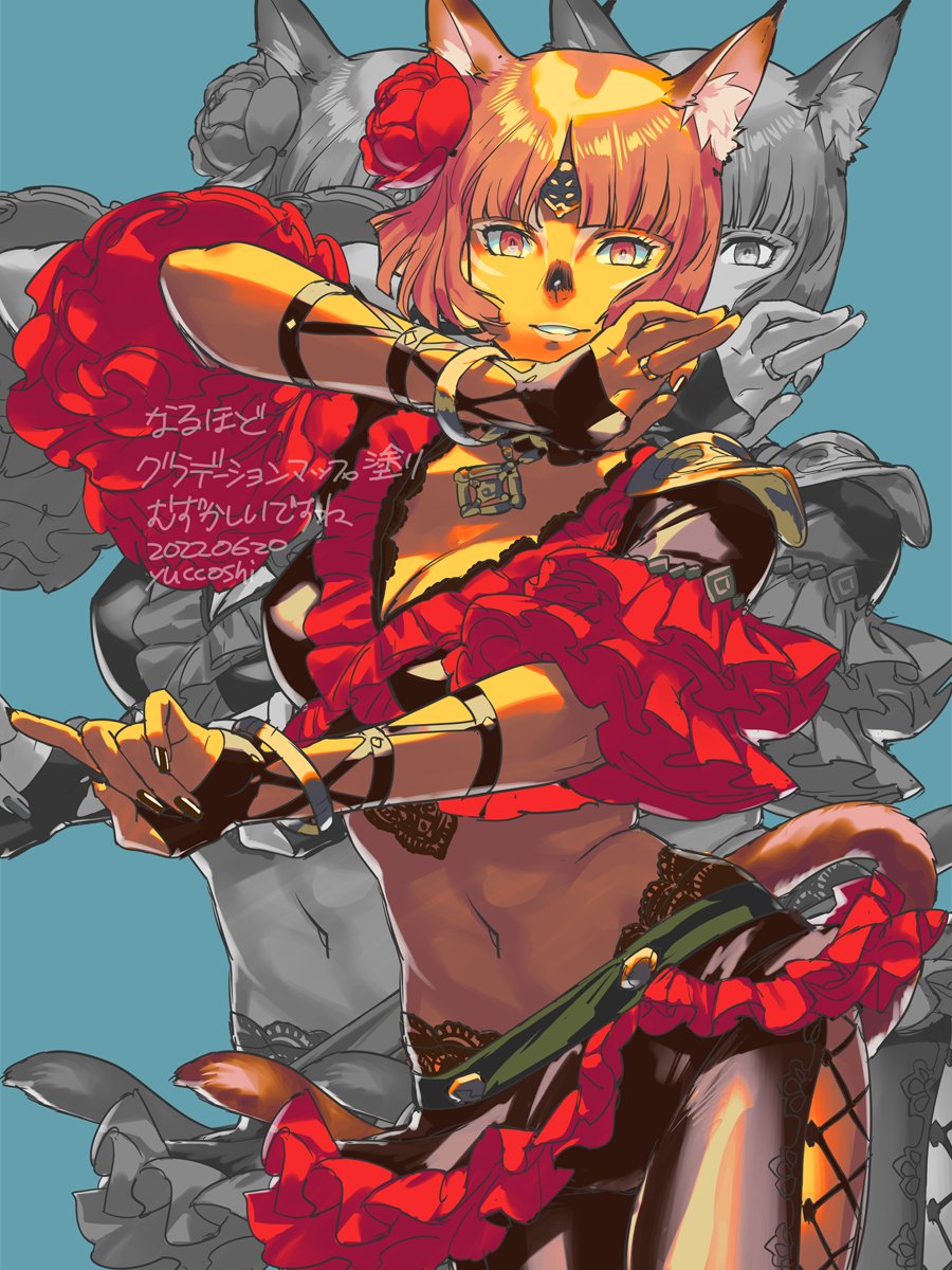 Adventurer (Ff11) Rule 34 Image