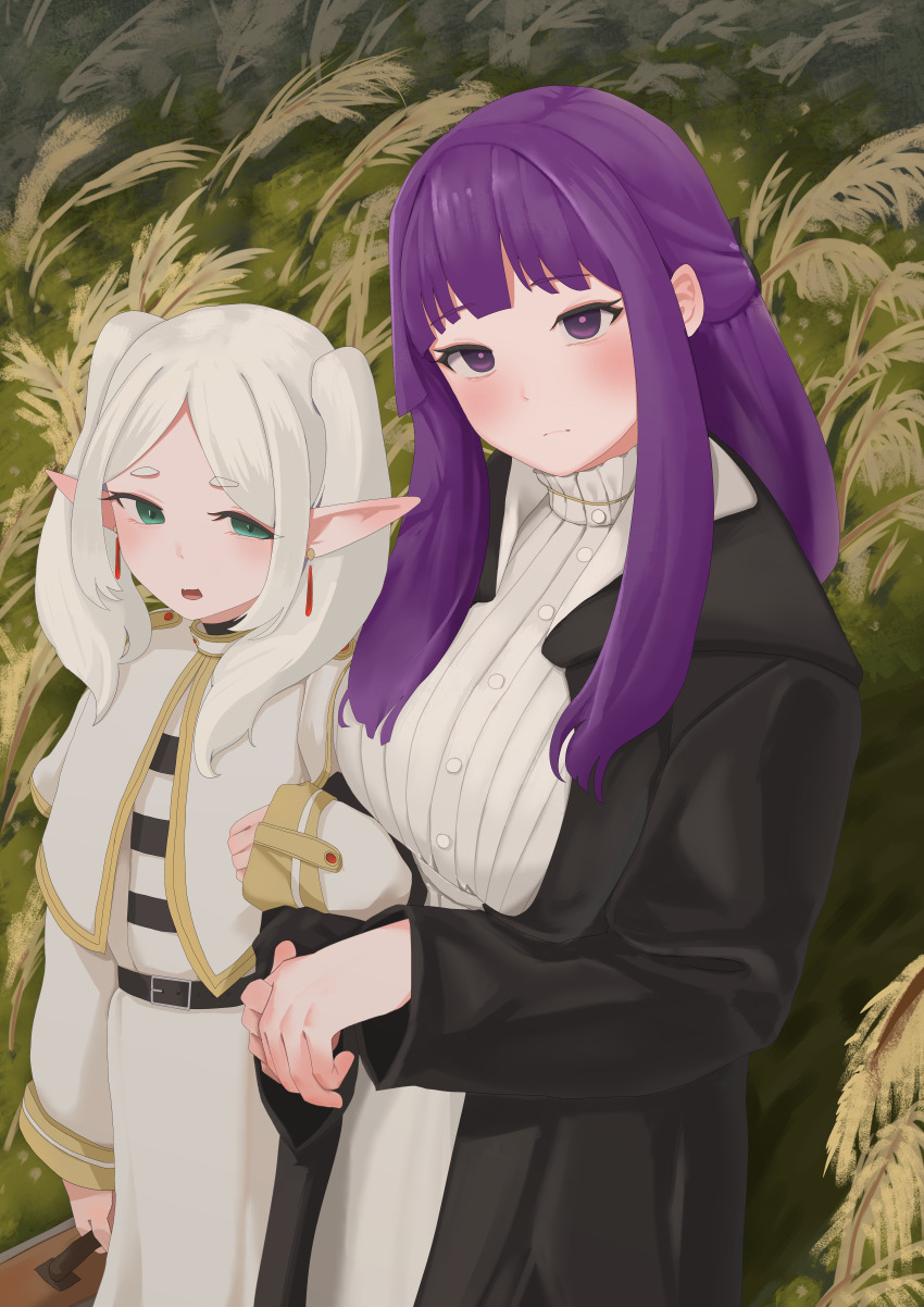 Fern (Sousou No Frieren) Rule 34 Image