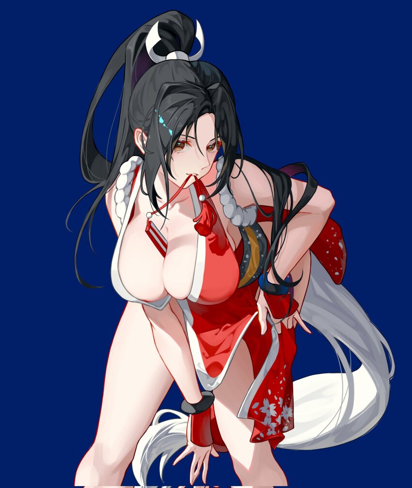 Fatal Fury Rule 34 Image