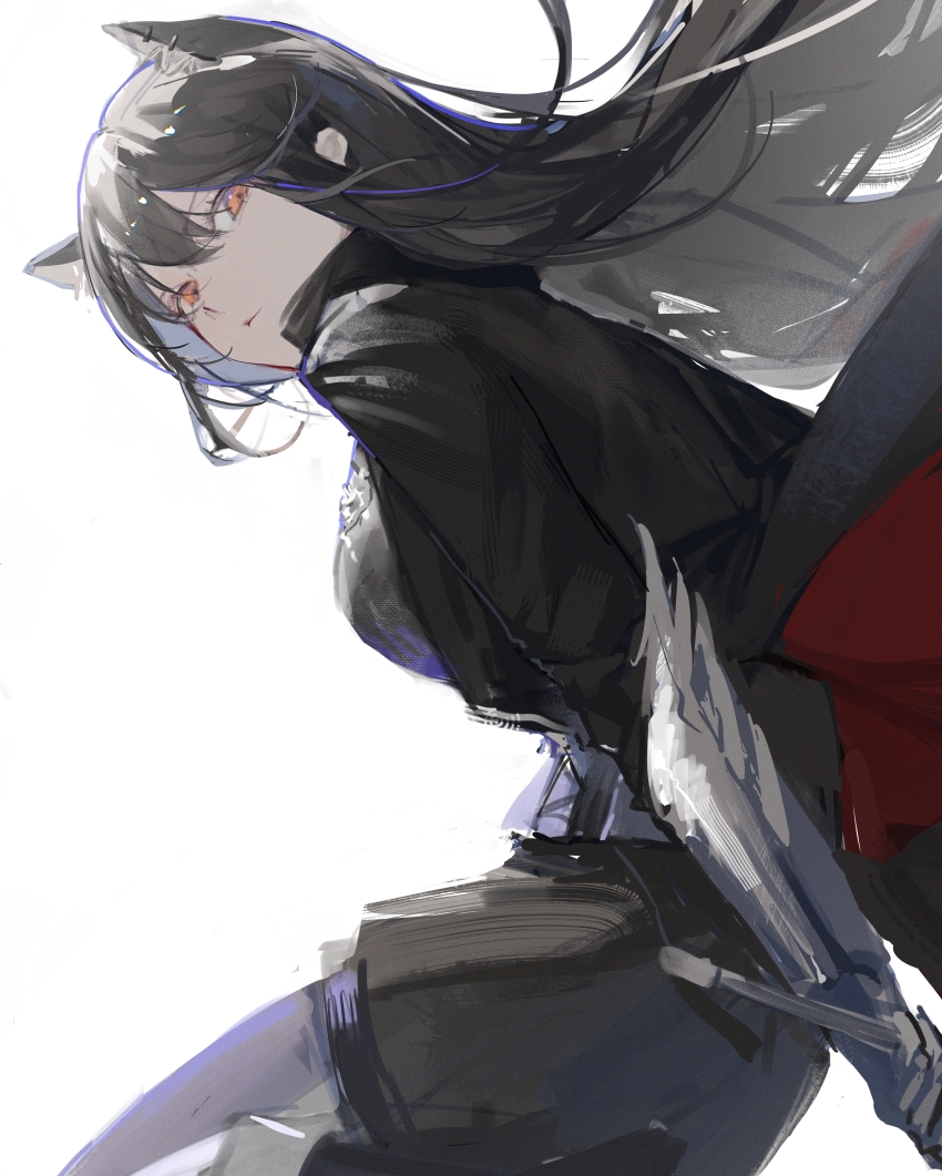 Texas (Arknights) Rule 34 Image