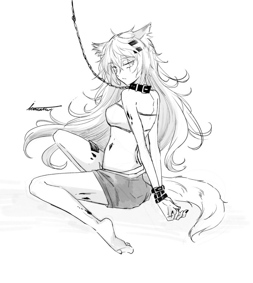 Lappland (Arknights) Rule 34 Image