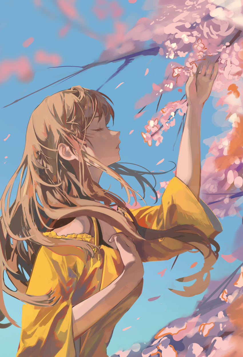 Hanami Rule 34 Image