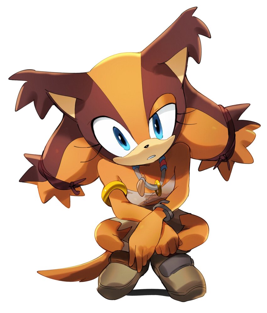 Sticks The Badger (Sonic (Series)) Rule 34 Image