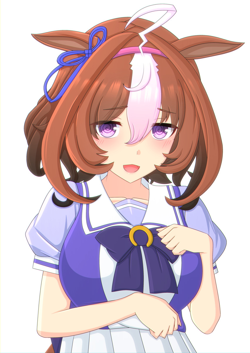 Meisho Doto (Umamusume) Rule 34 Image