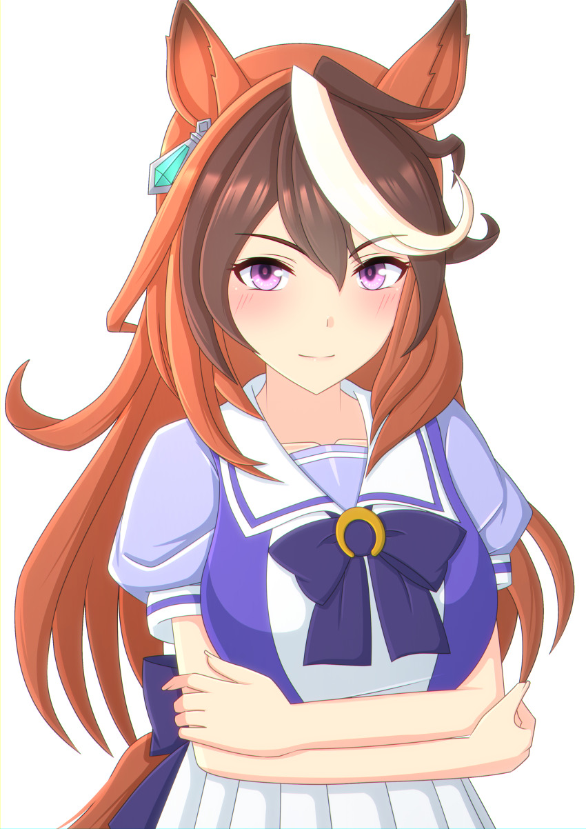 Symboli Rudolf (Umamusume) Rule 34 Image