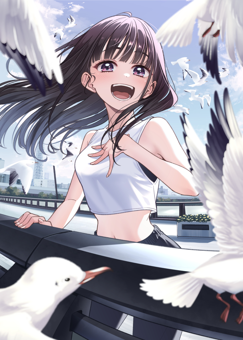 Bird Rule 34 Image