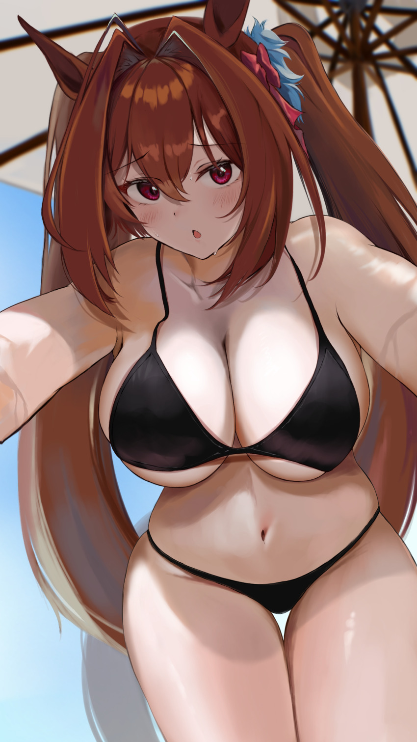 Daiwa Scarlet (Umamusume) Rule 34 Image