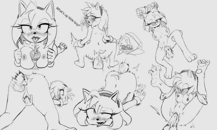 Amy Rose (Friday Night Funkin) Rule 34 Image