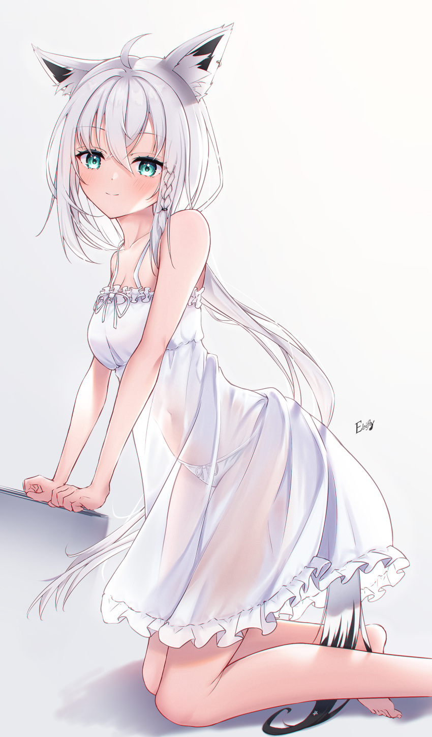 Shirakami Fubuki (Hololive) Rule 34 Image