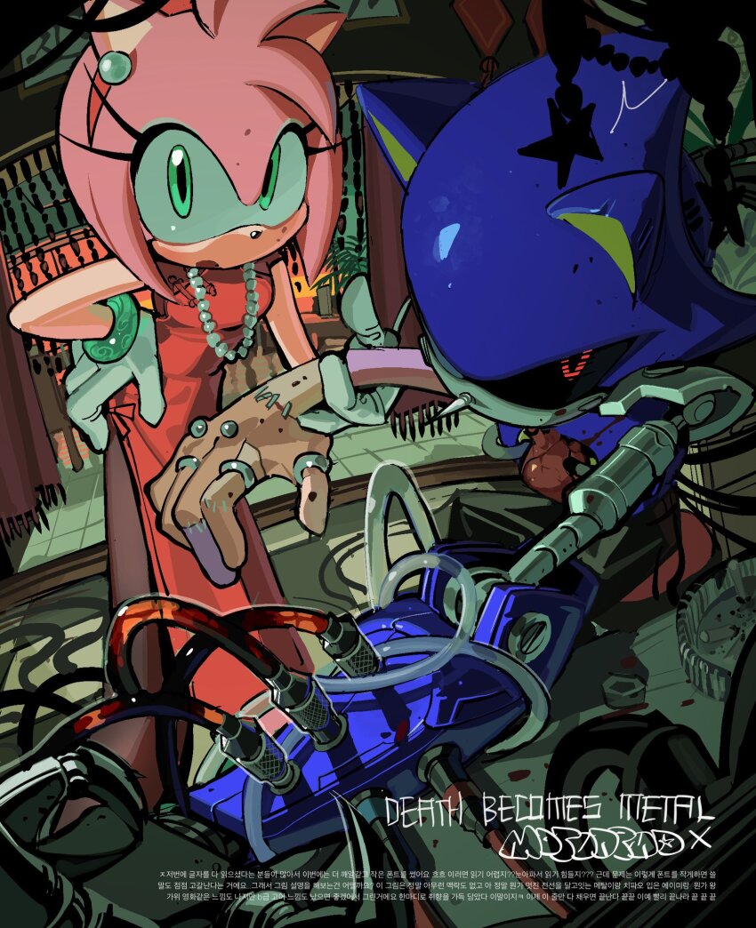 Amy Rose (Sonic (Series)) Rule 34 Image