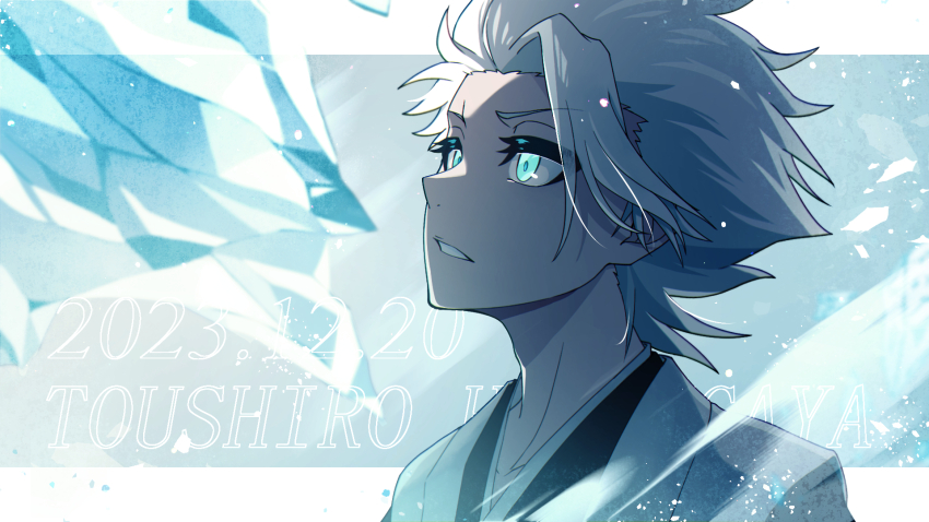 Hitsugaya Toushirou (Bleach) Rule 34 Image