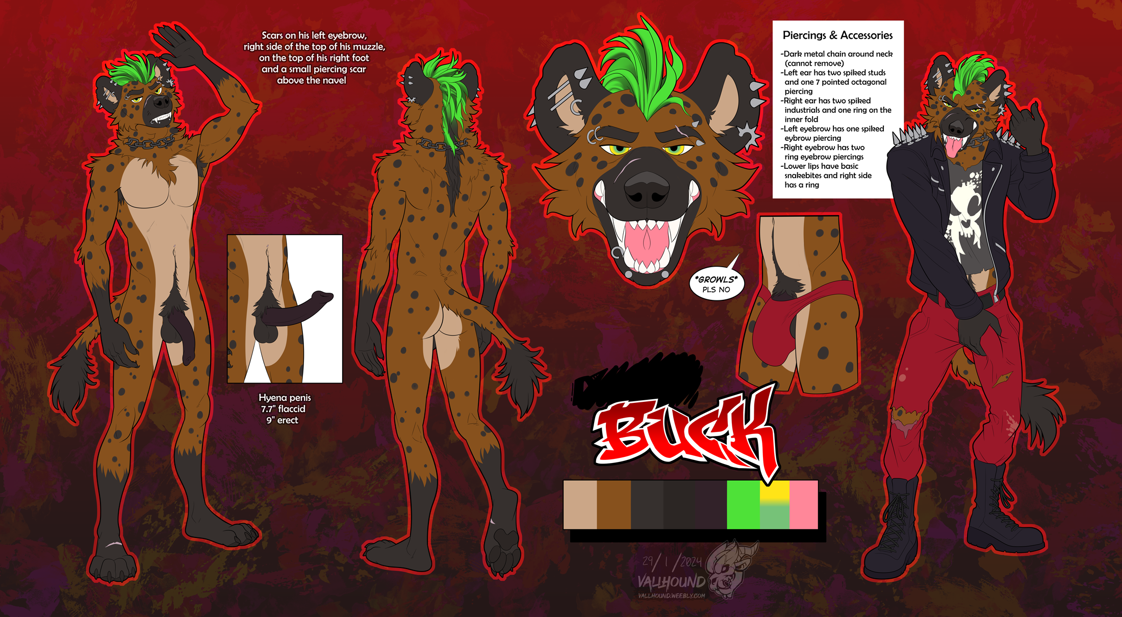 Animal Genitalia Rule 34 Image