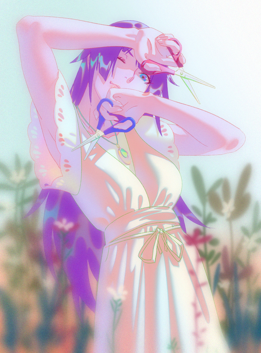 Senjougahara Hitagi (Bakemonogatari) Rule 34 Image