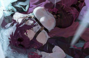 Honkai (Series) Rule 34 Image