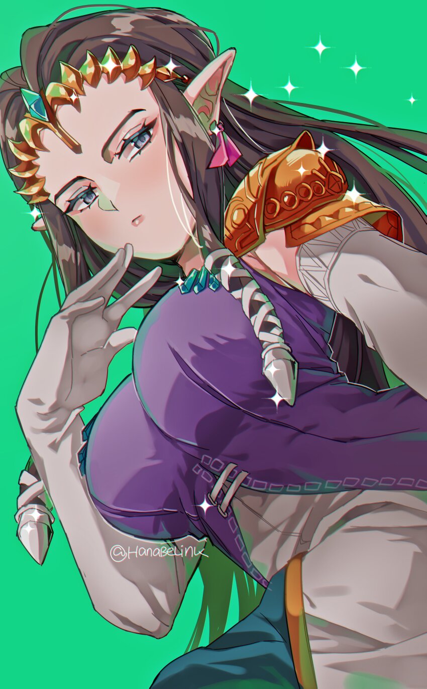 Princess Zelda (Nintendo) Rule 34 Image