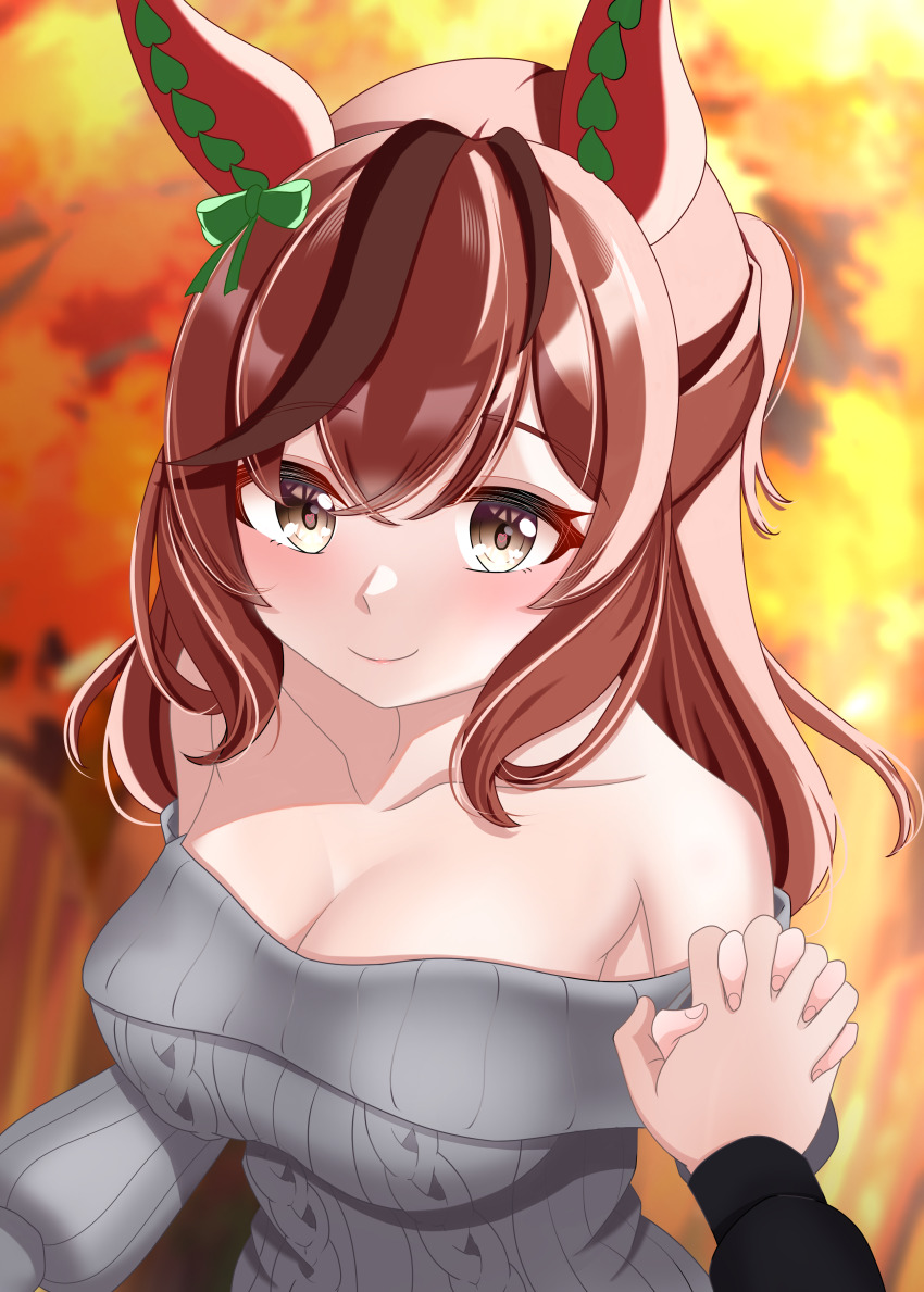 Nice Nature (Umamusume) Rule 34 Image