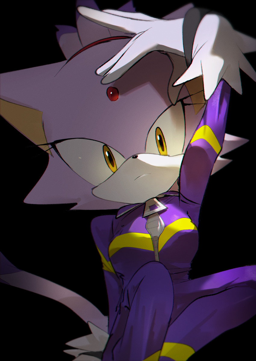 Blaze The Cat (Sonic (Series)) Rule 34 Image