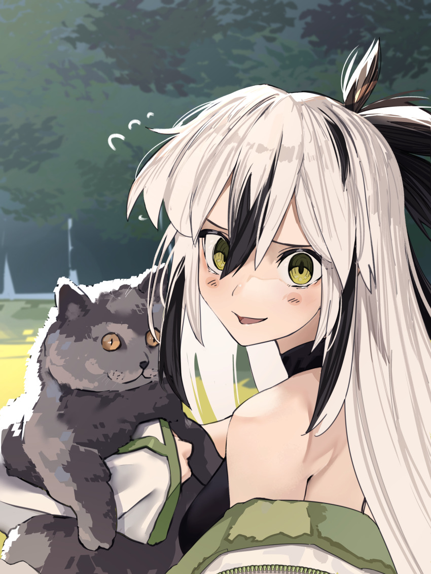 Nagao Kagetora (Fate) Rule 34 Image