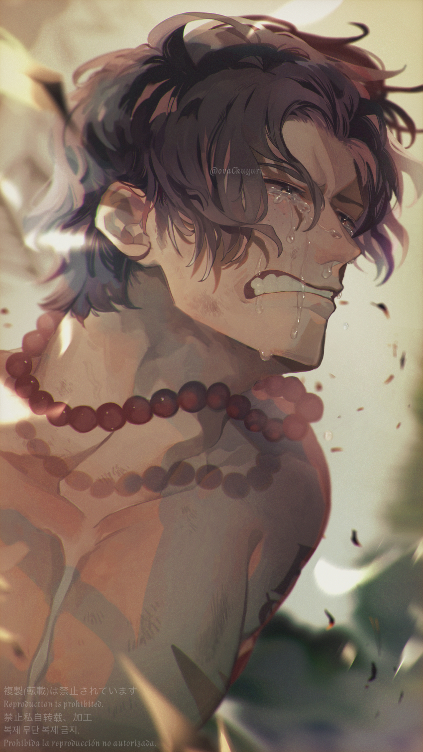 One Piece Rule 34 Image