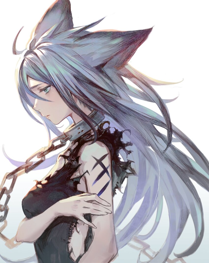 Animal Ears Rule 34 Image