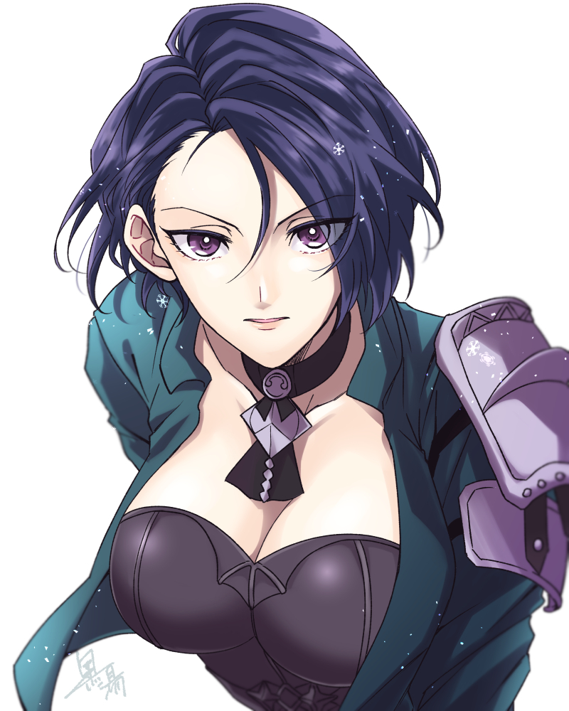Shamir Nevrand (Fire Emblem) Rule 34 Image