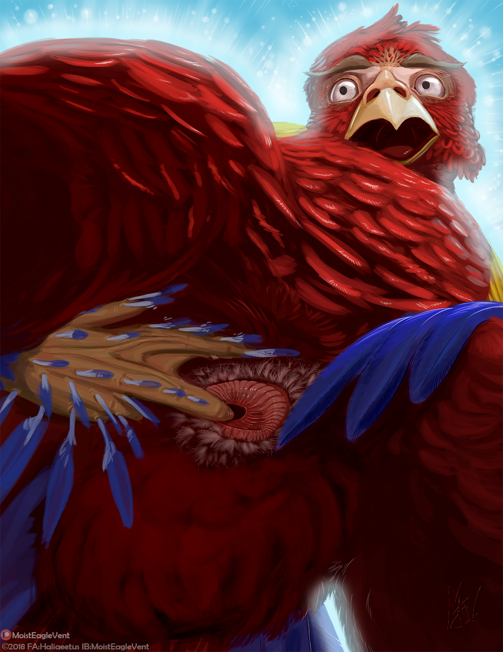 Animal Genitalia Rule 34 Image
