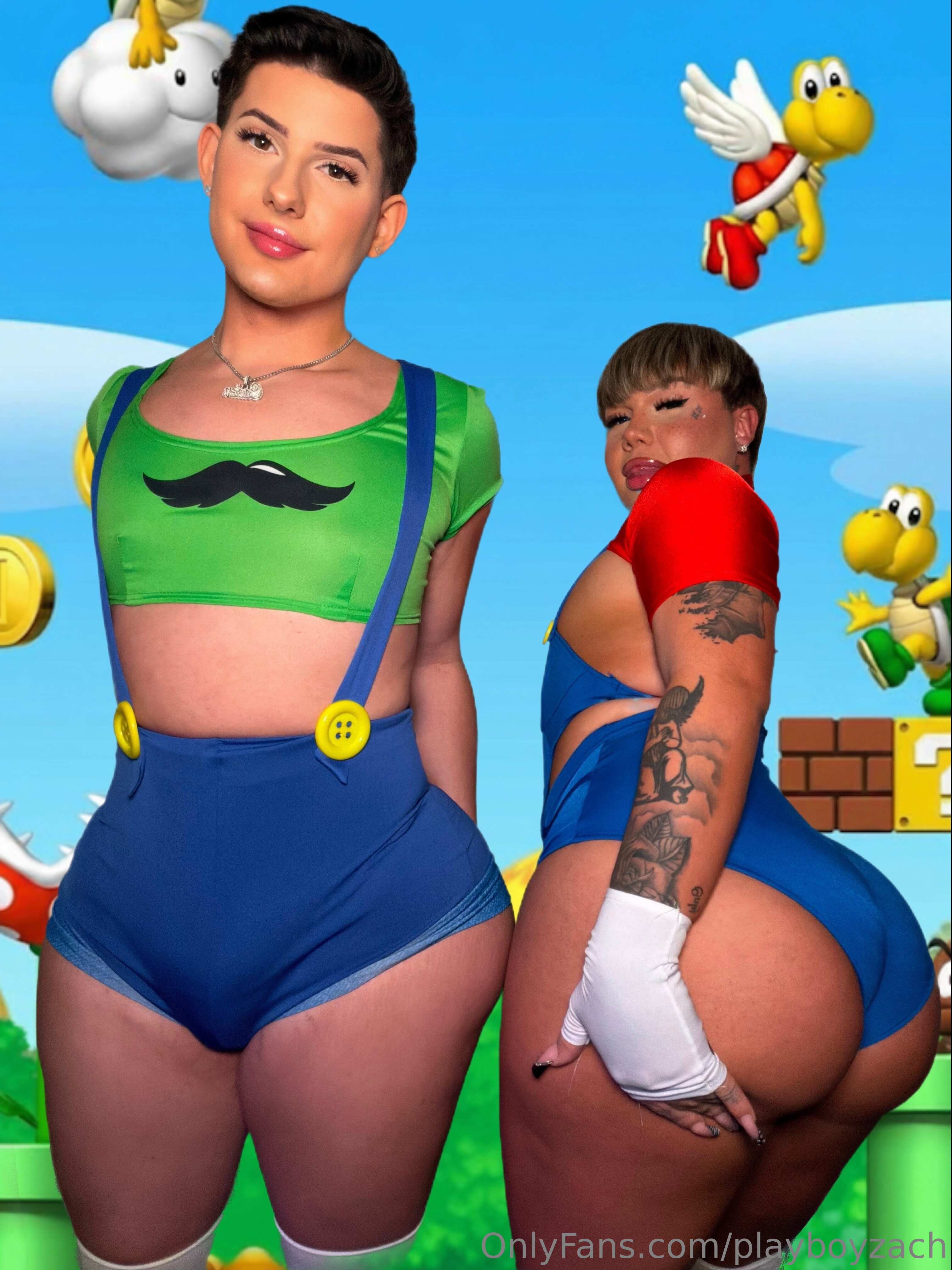 Luigi (Nintendo) Rule 34 Image