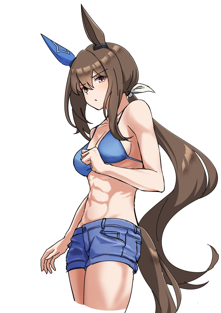 Admire Vega (Umamusume) Rule 34 Image