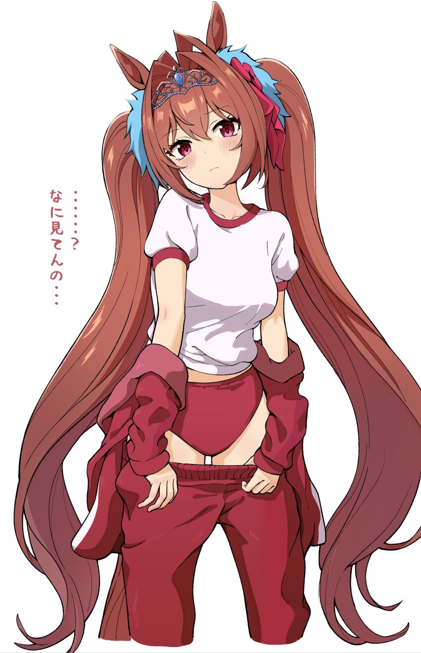 Daiwa Scarlet (Umamusume) Rule 34 Image