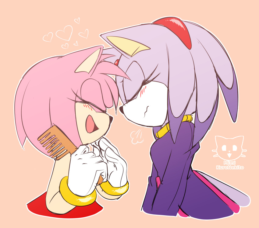 Amy Rose (Sonic (Series)) Rule 34 Image