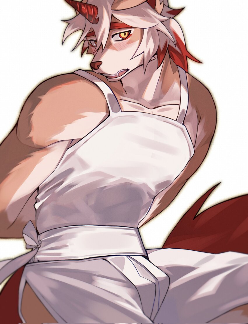 Hung (Arknights) Rule 34 Image