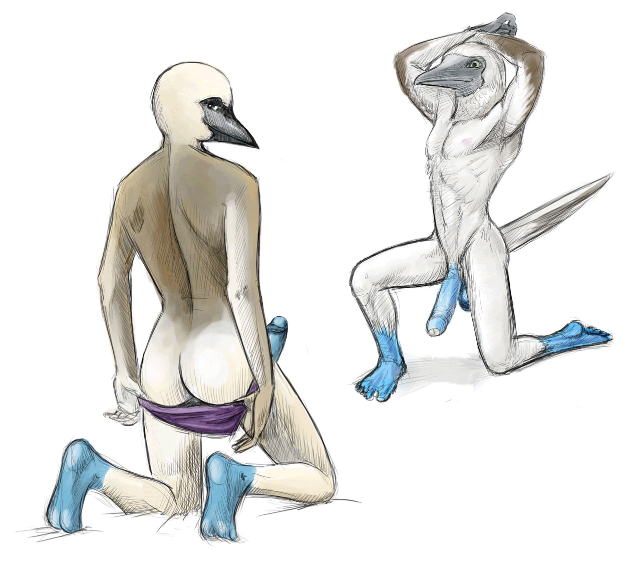 Ass Rule 34 Image
