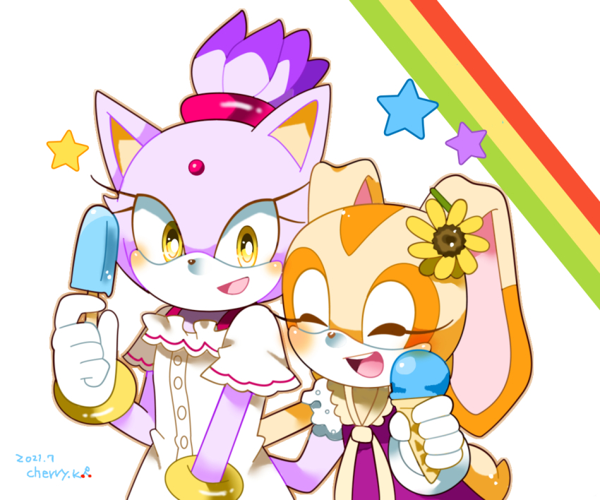 Blaze The Cat (Sonic (Series)) Rule 34 Image