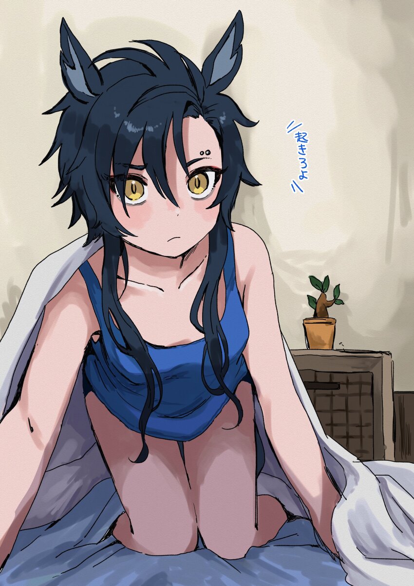 Air Shakur (Umamusume) Rule 34 Image