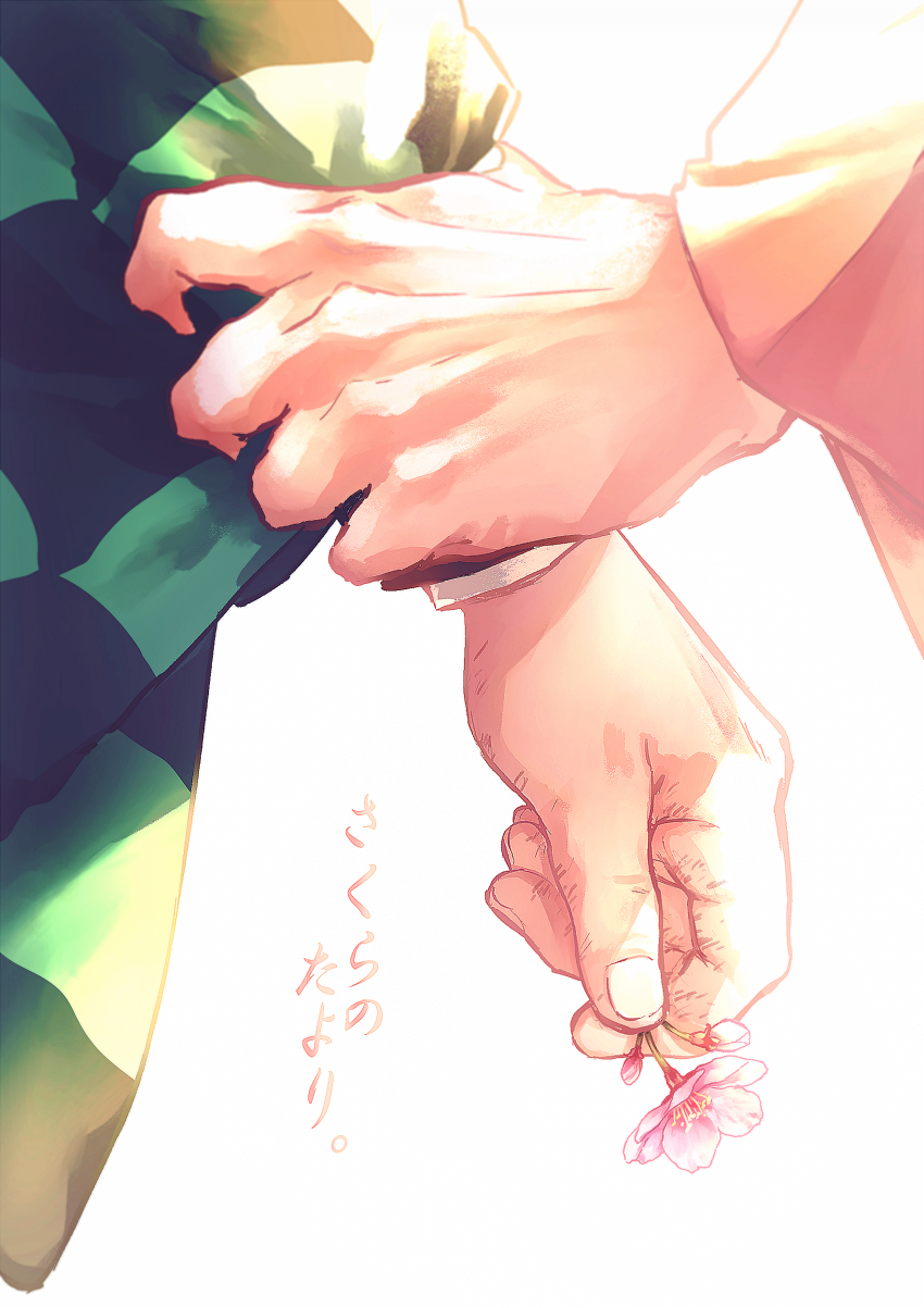 Kamado Tanjirou (Kimetsu No Yaiba) Rule 34 Image