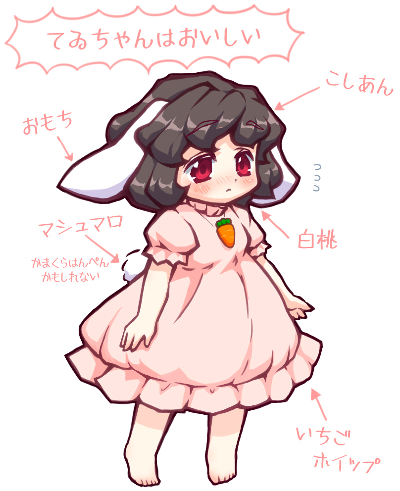 Inaba Tewi (Touhou) Rule 34 Image
