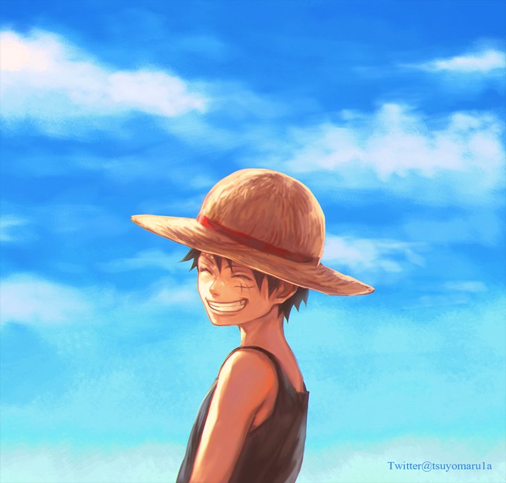 Monkey D. Luffy Rule 34 Image