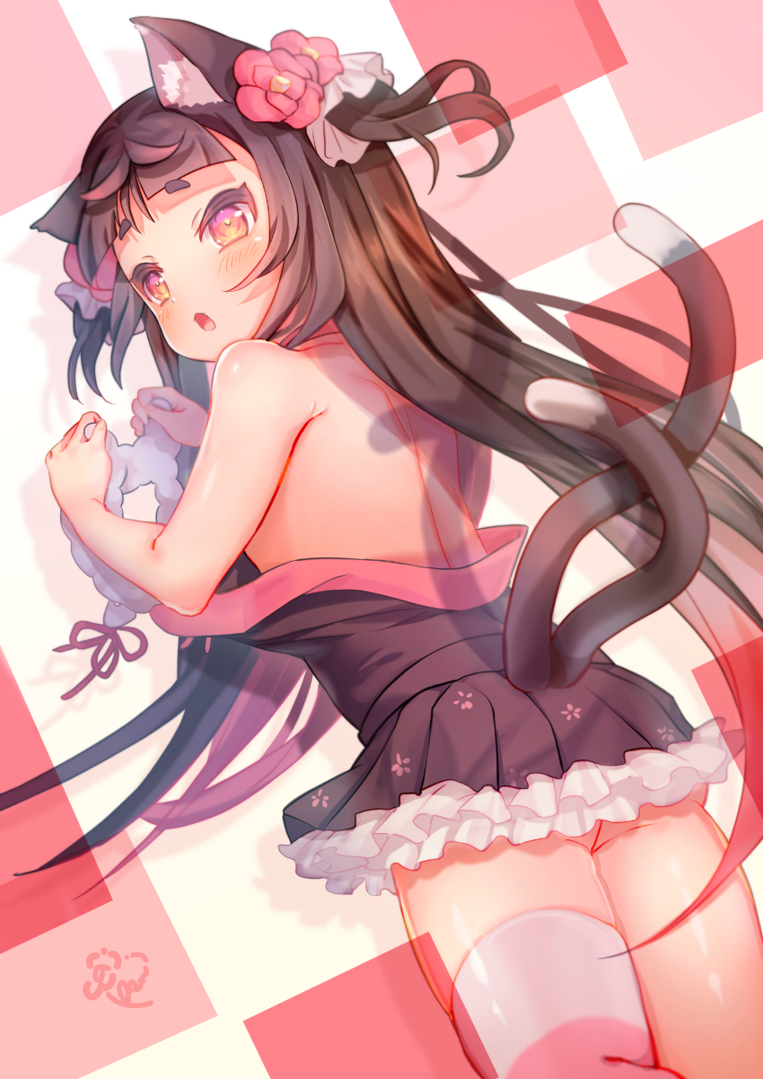 Toranoana Rule 34 Image