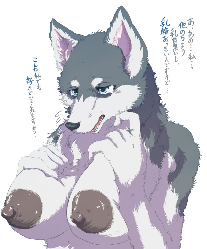 Anthro Rule 34 Image